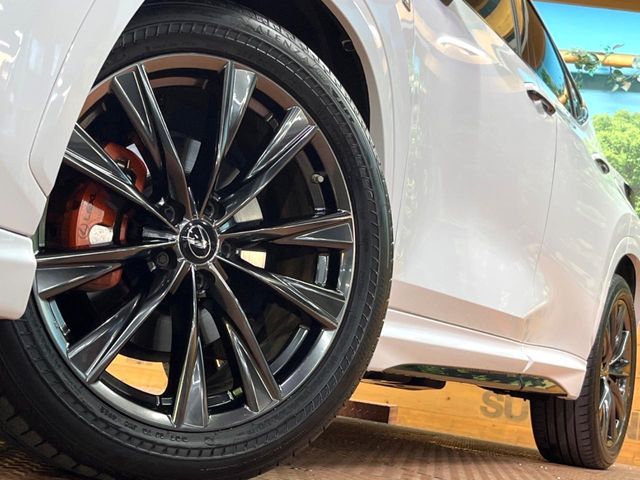 TOYOTA LEXUS NX350H 2023 Image 31