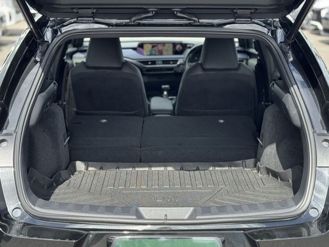 TOYOTA LEXUS UX200 2020 Image 31