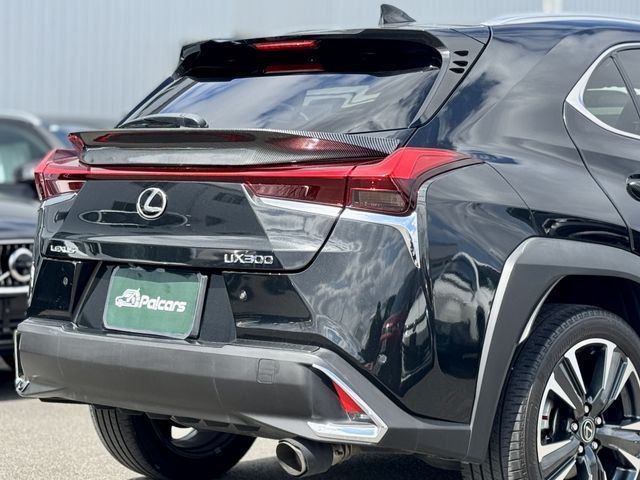 TOYOTA LEXUS UX200 2020 Image 31