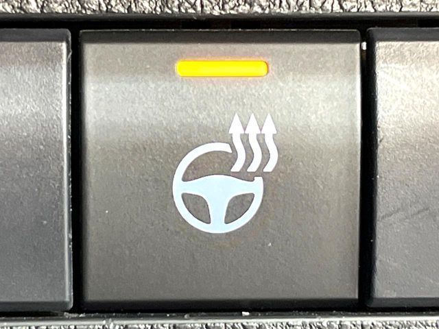 TOYOTA RAV4 4WD 2021 Image 31