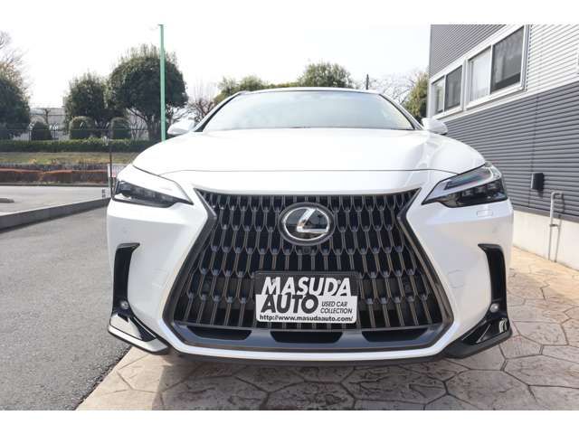 TOYOTA LEXUS NX350H AWD 2024 Image 31