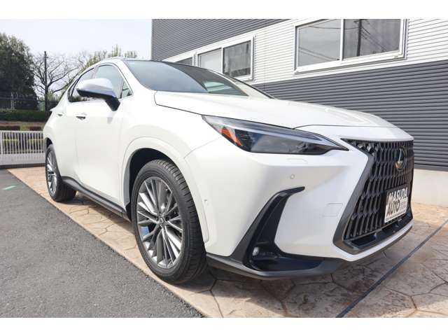TOYOTA LEXUS NX350H AWD 2024 Image 31