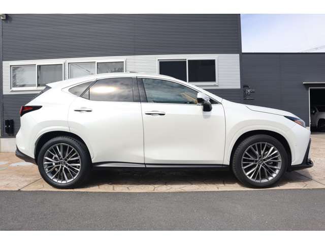 TOYOTA LEXUS NX350H AWD 2024 Image 31