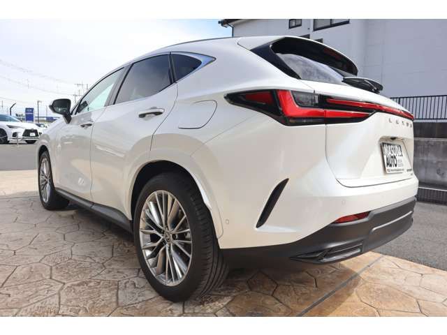 TOYOTA LEXUS NX350H AWD 2024 Image 31
