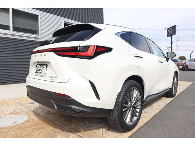 TOYOTA LEXUS NX350H AWD 2024 Image 31