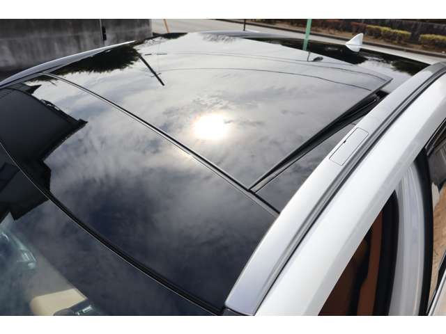 TOYOTA LEXUS NX350H AWD 2024 Image 31