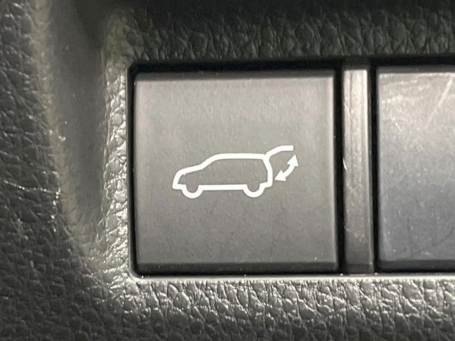 TOYOTA RAV4 4WD 2019 Image 31