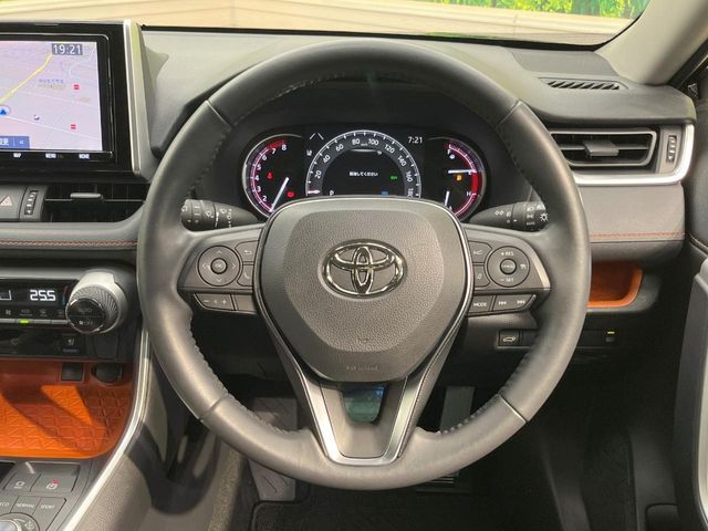 TOYOTA RAV4 4WD 2019 Image 31