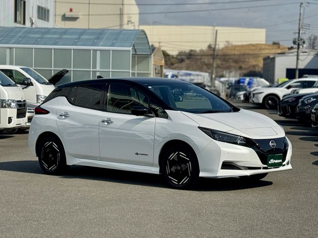 NISSAN LEAF 2024 Image 31