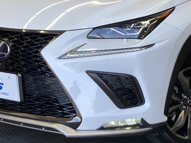 TOYOTA LEXUS NX300H 2018 Image 31