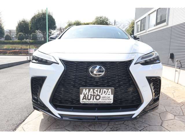 TOYOTA LEXUS NX450H+ AWD 2023 Image 31