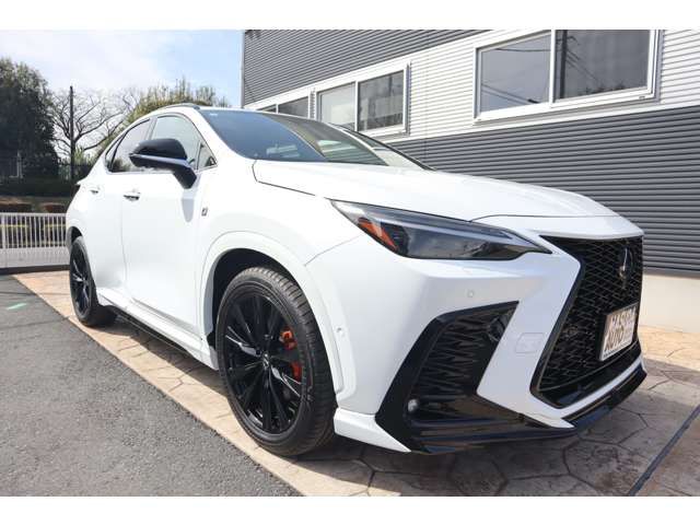 TOYOTA LEXUS NX450H+ AWD 2023 Image 31