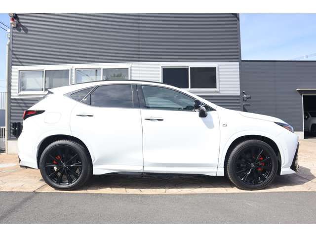 TOYOTA LEXUS NX450H+ AWD 2023 Image 31