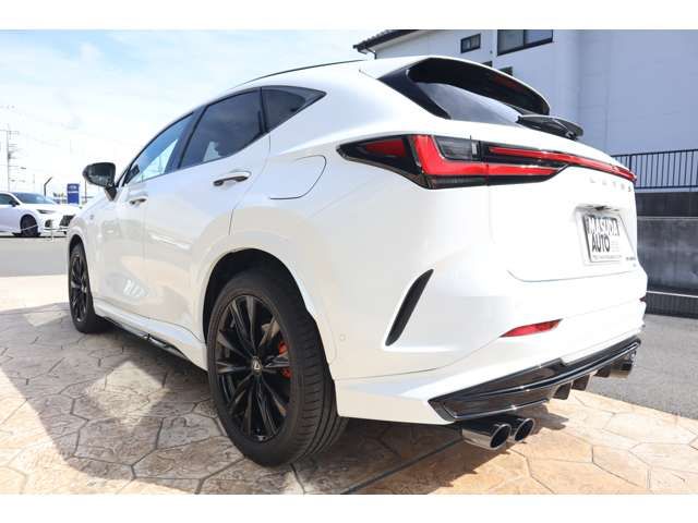 TOYOTA LEXUS NX450H+ AWD 2023 Image 31