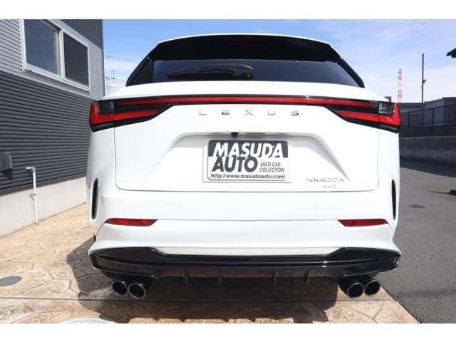 TOYOTA LEXUS NX450H+ AWD 2023 Image 31