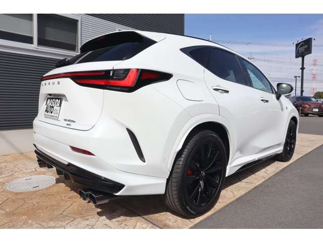 TOYOTA LEXUS NX450H+ AWD 2023 Image 31