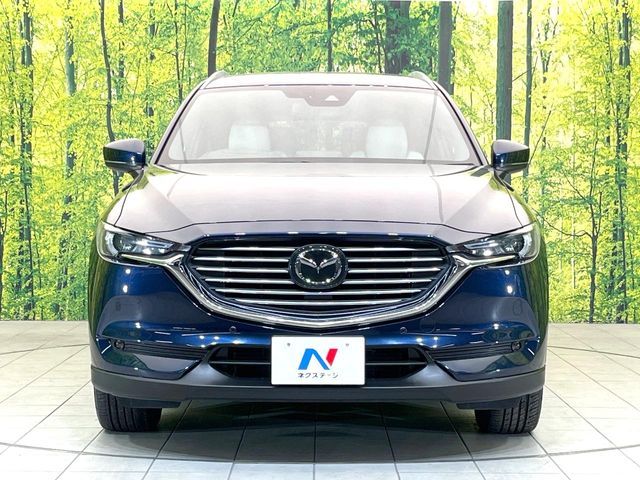 MAZDA CX-8 2018 Image 31