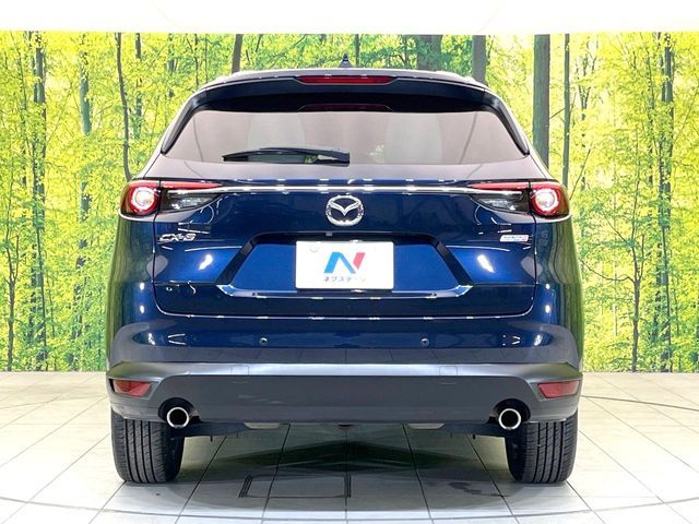 MAZDA CX-8 2018 Image 31