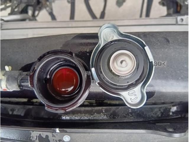 MITSUBISHI FUSOU FIGHTER 2024 Image 31