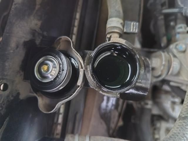 ISUZU ELF 2019 Image 31