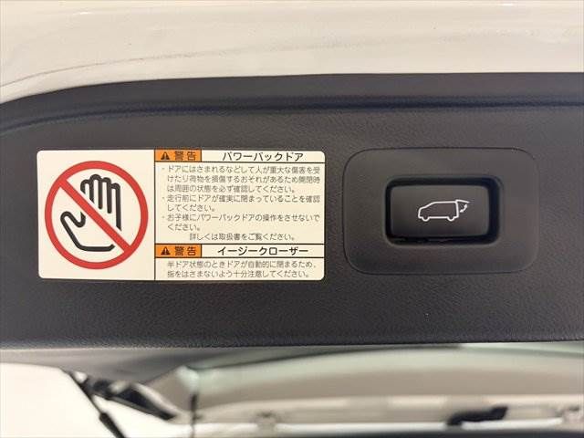 TOYOTA ALPHARD HYBRID 4WD 2017 Image 31