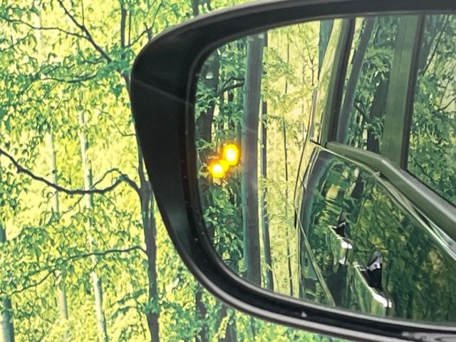 NISSAN SERENA  WG 2020 Image 31