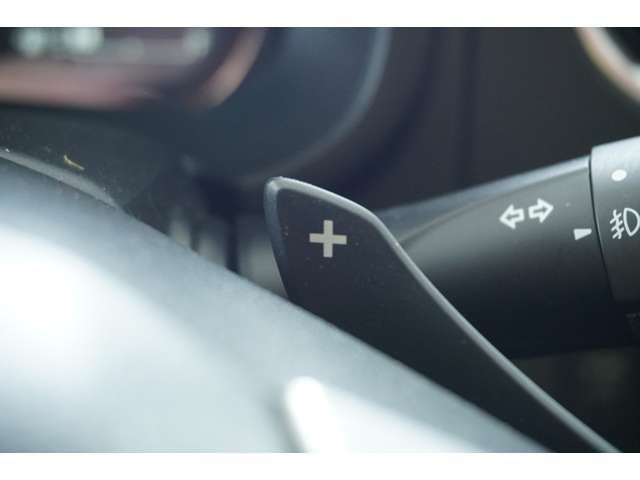 SUZUKI ALTO WORKS 2016 Image 31