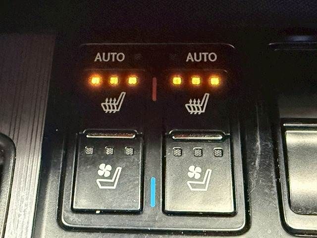 TOYOTA LEXUS RX450H AWD 2021 Image 31