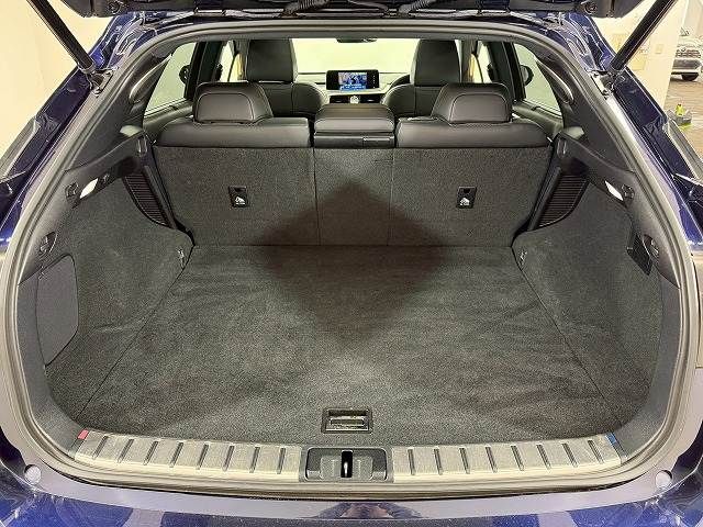 TOYOTA LEXUS RX450H AWD 2021 Image 31