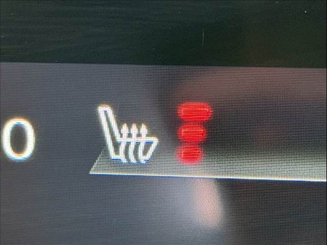 MAZDA MX-30 2020 Image 31