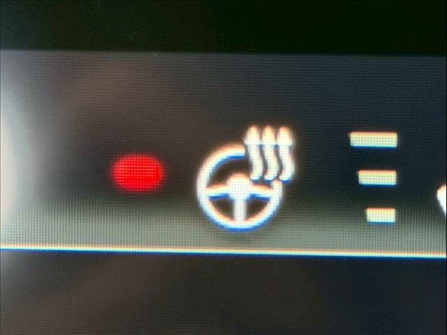 MAZDA MX-30 2020 Image 31