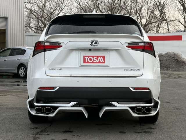 TOYOTA LEXUS NX300H AWD 2014 Image 31