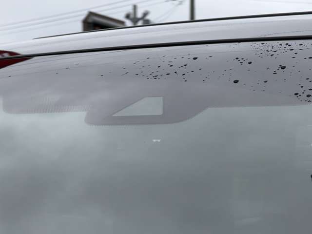 TOYOTA ALPHARD HYBRID 4WD 2019 Image 31