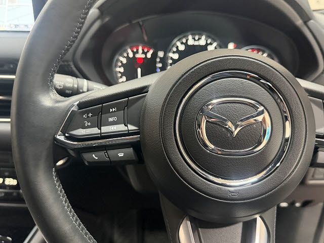 MAZDA CX-8 2020 Image 31