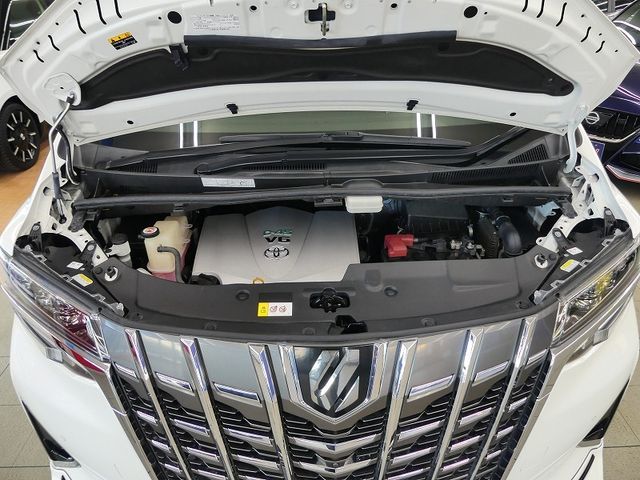 TOYOTA ALPHARD 2021 Image 31