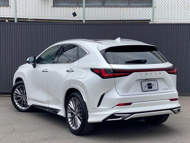 TOYOTA LEXUS NX250 2023 Image 31