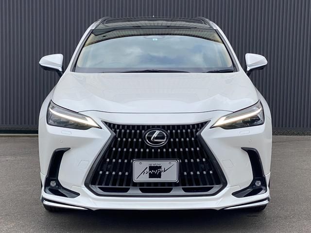 TOYOTA LEXUS NX250 2023 Image 31