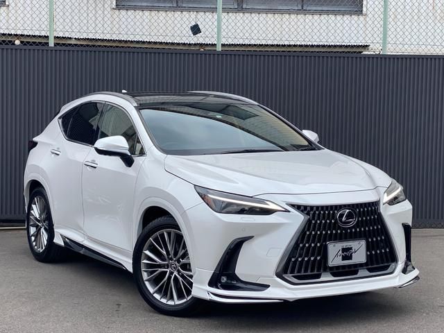 TOYOTA LEXUS NX250 2023 Image 31