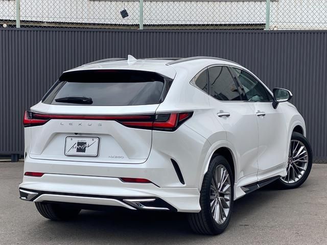 TOYOTA LEXUS NX250 2023 Image 31