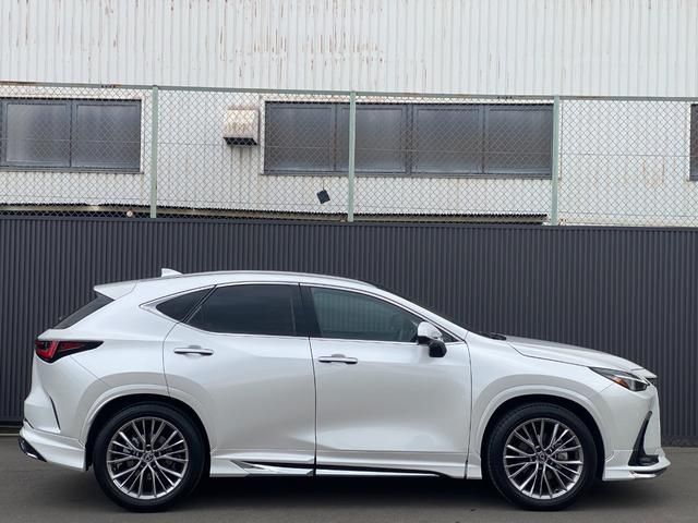 TOYOTA LEXUS NX250 2023 Image 31