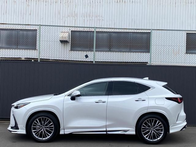 TOYOTA LEXUS NX250 2023 Image 31