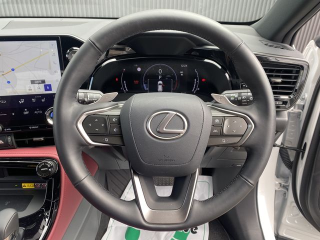 TOYOTA LEXUS NX250 2023 Image 31