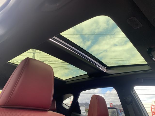 TOYOTA LEXUS NX250 2023 Image 31