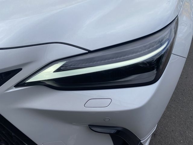 TOYOTA LEXUS NX250 2023 Image 31