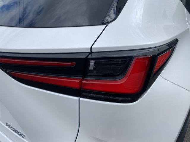 TOYOTA LEXUS NX250 2023 Image 31