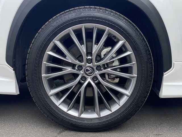 TOYOTA LEXUS NX250 2023 Image 31