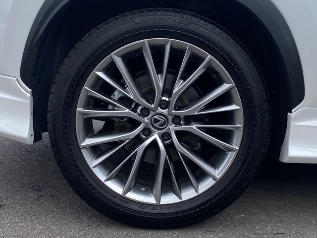 TOYOTA LEXUS NX250 2023 Image 31