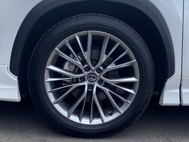 TOYOTA LEXUS NX250 2023 Image 31