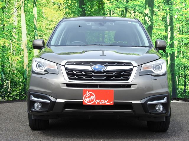 SUBARU FORESTER 2017 Image 31