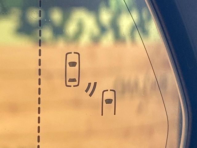 TOYOTA LEXUS NX300 2018 Image 31